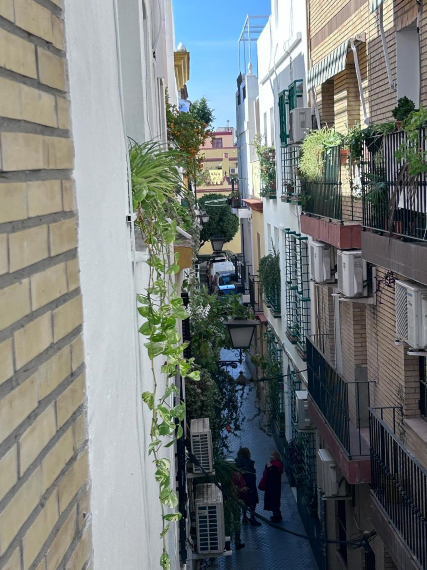 Apartament Arco Macarena Sewilla Zewnętrze zdjęcie